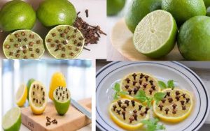 Sử dụng chanh để tiêu diệt côn trùng